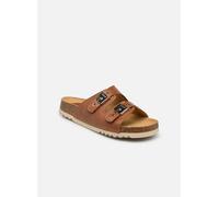 Scholl ALBA ICONIC 37 Marrón