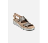 Scholl ANTONIA SANDAL COMFORT 40 Marrón