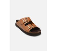 Scholl BEATRIZ COLLECTION 36 Marrón
