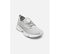 Scholl CAMDEN COMFORT 36 Gris