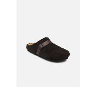 Scholl CHARLES COLLECTION 42 Marrón