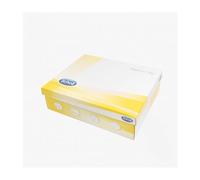 Deport Hom Scholl Energy Ng 41 - Calzado Profesional