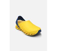 Scholl EVOFLEX 41 Amarillo