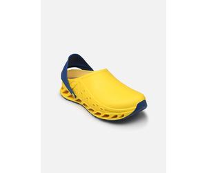 Scholl EVOFLEX 41 Amarillo