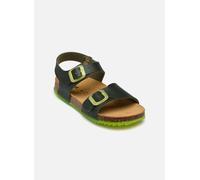 Scholl JEAN COLLECTION 24 Verde