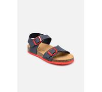 Scholl JEAN COLLECTION 30 Azul