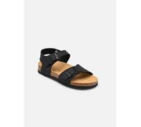 Scholl JEAN COLLECTION 32 Negro