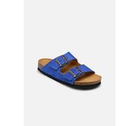 Scholl JOSEPHINE COLLECTION 35 Azul