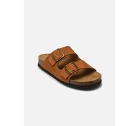 Scholl JOSEPHINE COLLECTION 37 Marrón