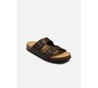 Scholl JULIEN COLLECTION 40 Marrón