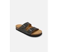 Scholl JULIEN COLLECTION 41 Gris