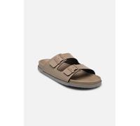 Scholl JULIEN OVER COLLECTION 42 Gris