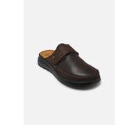 Scholl KLAUS STRAP 46 Marrón