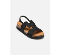 Scholl Mallorca Sandal comfort 38 Negro