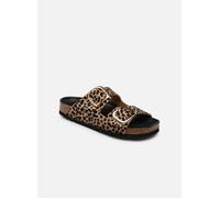 Scholl NOELLE COLLECTION 35 Marrón