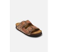 Scholl NOELLE COLLECTION 39 Multicolor