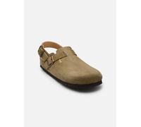 Scholl OLIVIER BACKSTRAP COLLECTION 41 Marrón