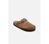 Scholl Olivier Collection 41 Marrón
