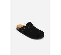 Scholl Olivier Collection 41 Negro
