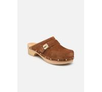 Scholl PESCURA CLOG 50 ICONIC 38 Marrón