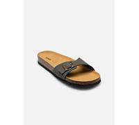 Scholl Simon Collection 40 Verde