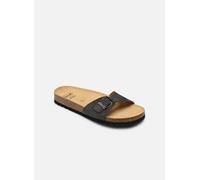 Scholl Simon Collection 41 Gris