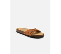 Scholl Simon Collection 41 Marrón
