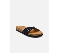 Scholl Simon Collection 42 Azul