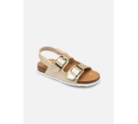 Scholl TURTLE COLLECTION 24 Oro y bronce