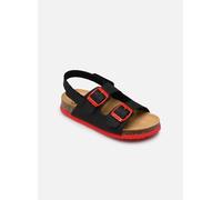 Scholl TURTLE COLLECTION 26 Negro