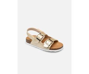 Scholl TURTLE COLLECTION 27 Oro y bronce