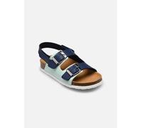 Scholl TURTLE COLLECTION 29 Azul