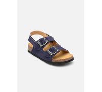 Scholl TURTLE COLLECTION 31 Azul