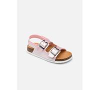 Scholl TURTLE COLLECTION 35 Rosa