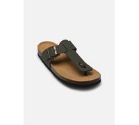 Scholl YVES COLLECTION 45 Verde