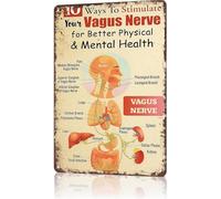 School Aluminum Sign Vagus Nerve Human Body Nervous System Diagram For Pre Med Student Dorm Study Corner Clinic Wall-Art Tin Plaque 8 X 12 inch