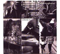 SCHOOLLY D - WelcomeTo America