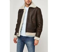 Schott Lc1259 Bombardier L Marrón