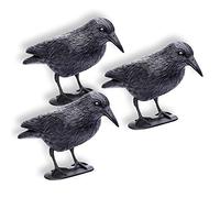 Schramm® - Cuervos de plástico para Palomas (3 Unidades), Color Negro