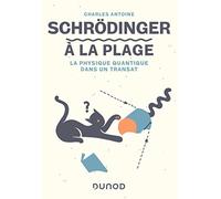 Schrödinger à la plage: La physique quantique dans un transat