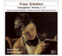 Schubert - Arpeggione Sonata/Variati