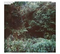 Schubert: Die schöne Müllerin [Vinilo]