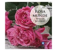 Schubert, F. - Romantic Schubert