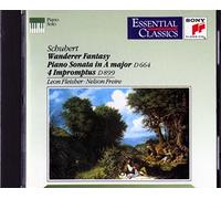 Schubert - Wanderer Fantasie