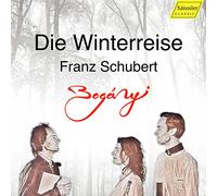 Schubert : Winterreise (version pour hautbois, basson et piano). Trio Boganyi.