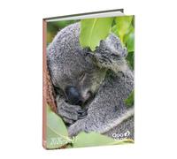 Schülerkalender Forum Tiere Koala 2026 / 2027: Schülerkalender