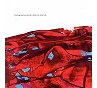 Schumacher,Thomas - Electric Avenue [Import]