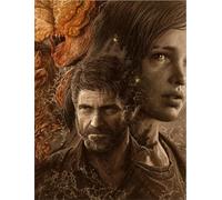 Schwagebo 1000 Piece Wooden The Last and Poster of Us Horror Film For Adults Family Educational Toys Xy165Wk