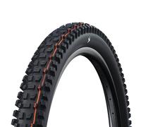 Schwalbe Albert Gravity Pro Addix Soft TLR 29'' Neumáticos 29x2.50 Negro
