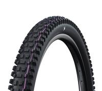 Schwalbe Albert Radial TLR Gravity Pro, Addix Soft - Neumático Plegable, Color Negro, 69,5 x 6,5 cm (63-584)